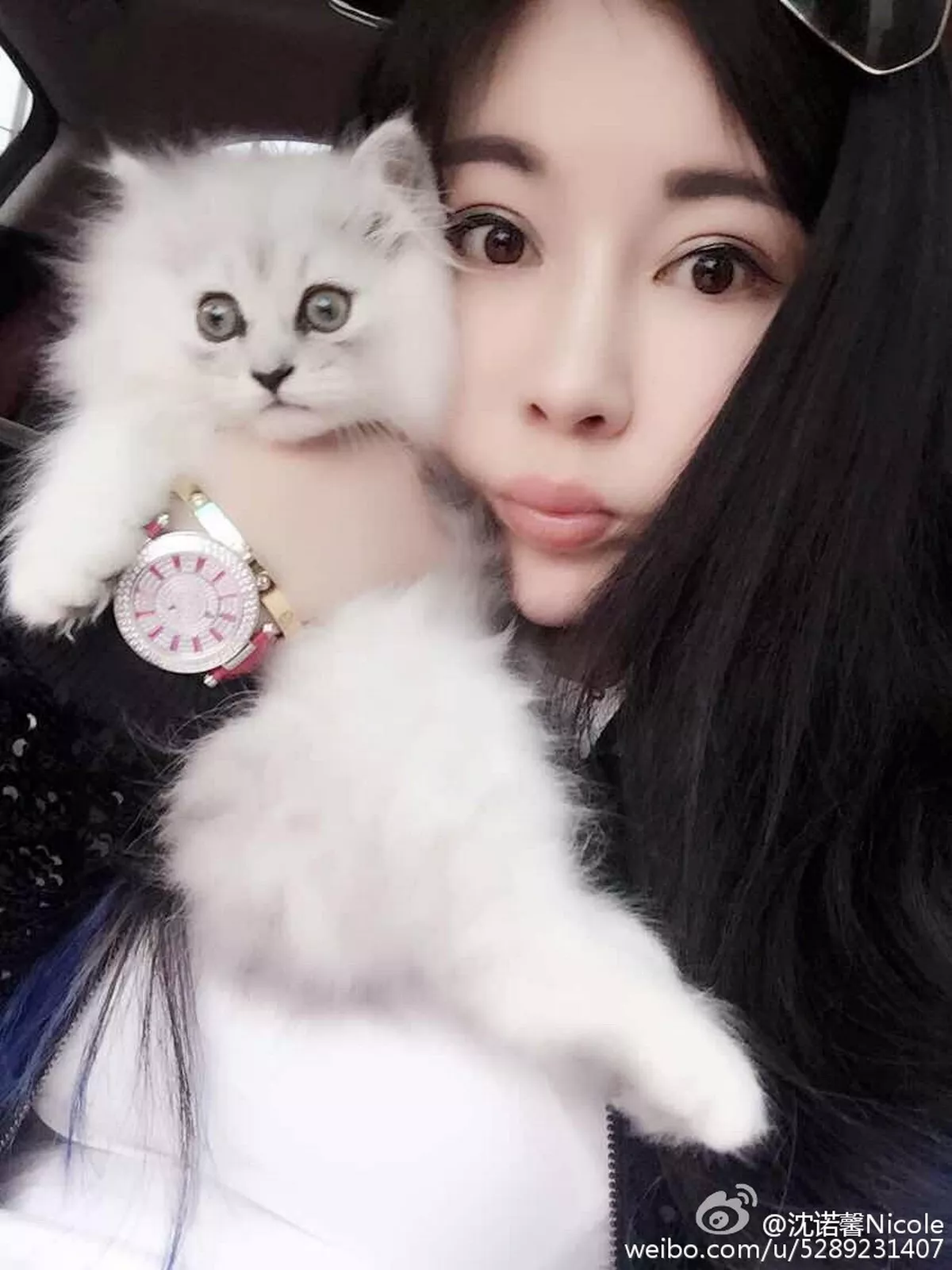 Xgyw.Org_性感嫩模沈诺馨Nicole微博精选写真合集性感服饰系列秀丰满身材迷人诱惑写真120P